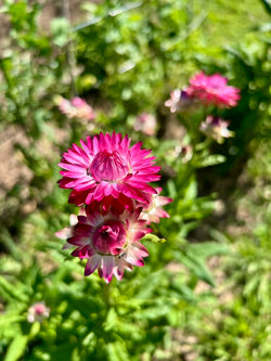 3cb09dd5 a645 4be6 83e3 52fe73c2899f 1 105 c