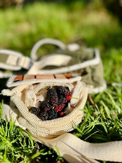 515ce19b db3b 4393 8423 9cda8f3776a8 4 5005 c