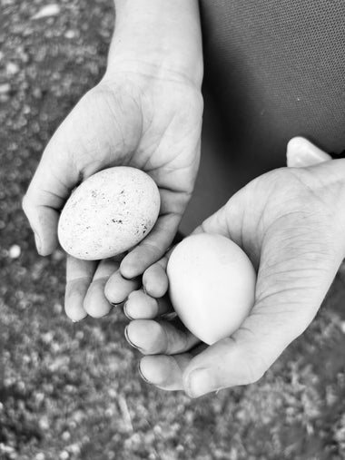 Farm-Fresh Bantam Eggs — 1 Dozen - 0