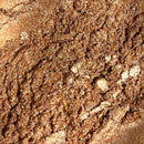 Tinted Lemon Balm Lip Balm- Full 4-Shade Set-8