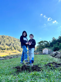 B547c7fa 6ae8 4cb2 8c57 37b59b64c383 1 105 c