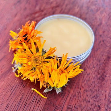 Kakadu Plum & Calendula Salve