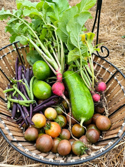 E021a571 e4ee 437c b580 dca06e50c39c 1 105 c