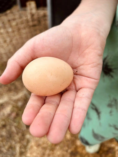 Farm-Fresh Bantam Eggs — 1 Dozen