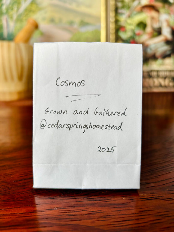 Cosmos seeds
