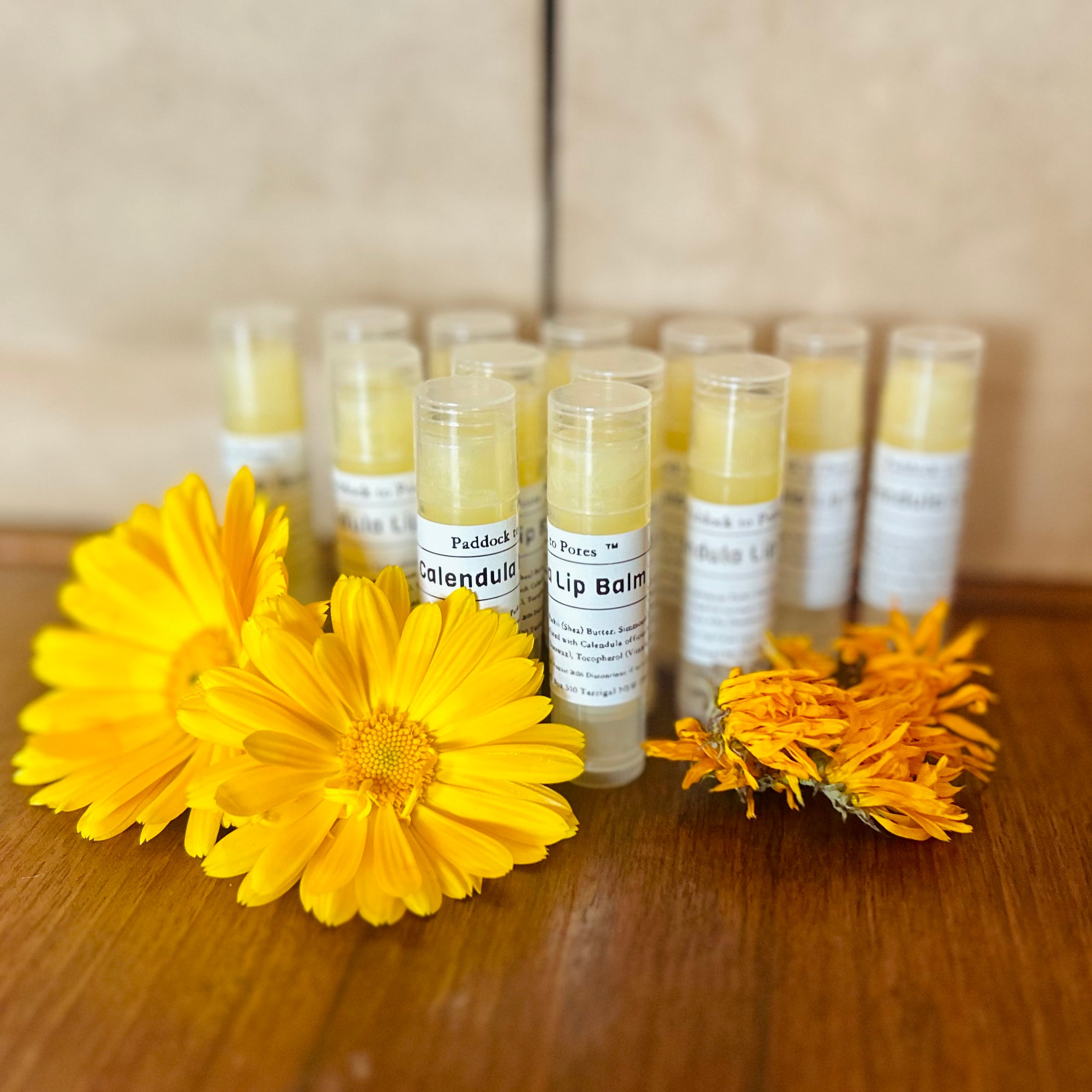 Calendula Lip Balm